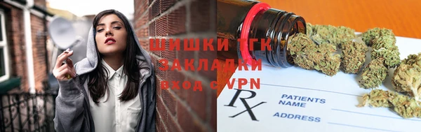 тгк Алексин