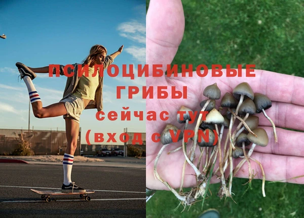 тгк Алексин