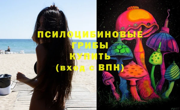 тгк Алексин