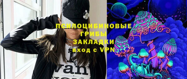 ПСИЛОЦИБИНОВЫЕ ГРИБЫ Абдулино