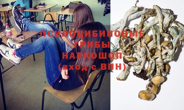 спайс Алексеевка