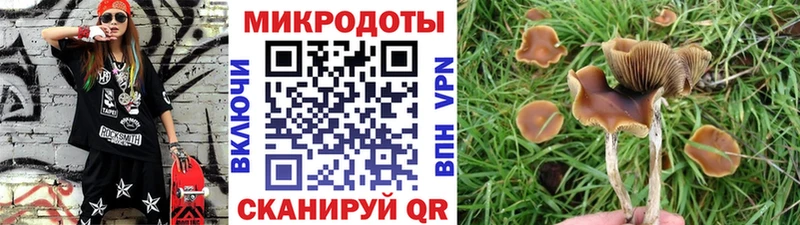 Галлюциногенные грибы GOLDEN TEACHER  Серафимович 